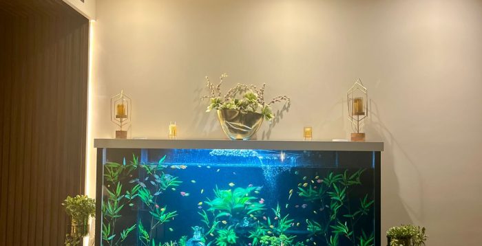 Custom-built aquarium installation by Aquarist Design Studio in India