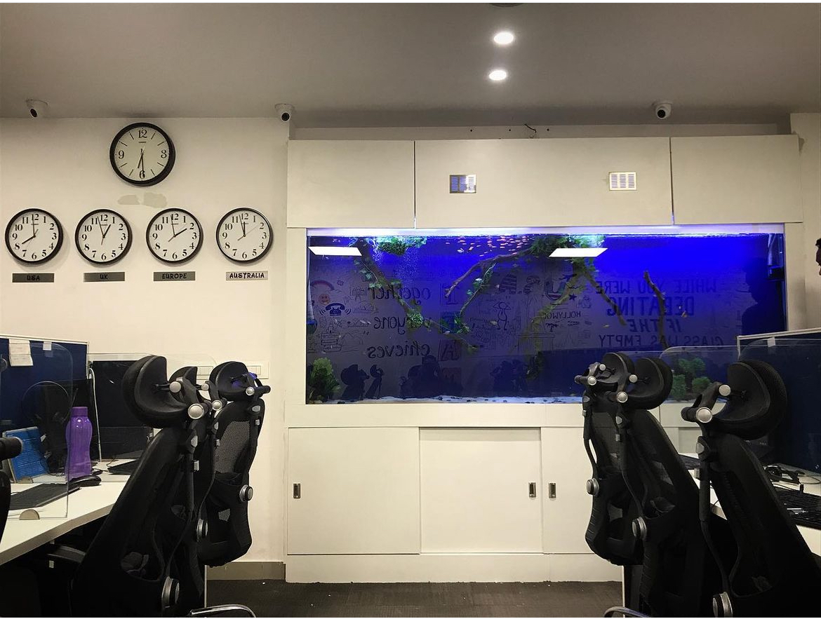 Fish Aquarium Near Me