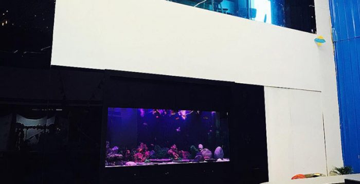 Commercial Aquariums for Hotels